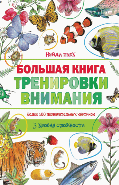 Большая книга тренировки внимания