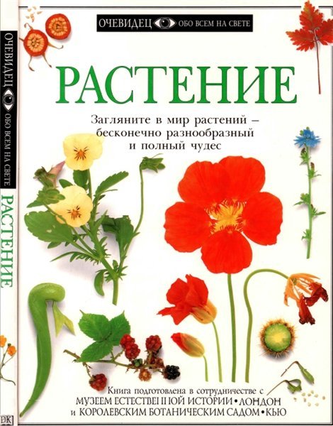 Дэвид Берни. Растение (1997)