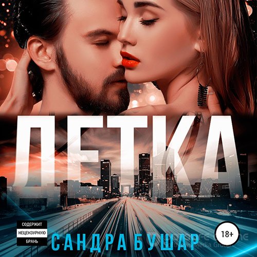 Бушар Сандра. Детка (Аудиокнига)