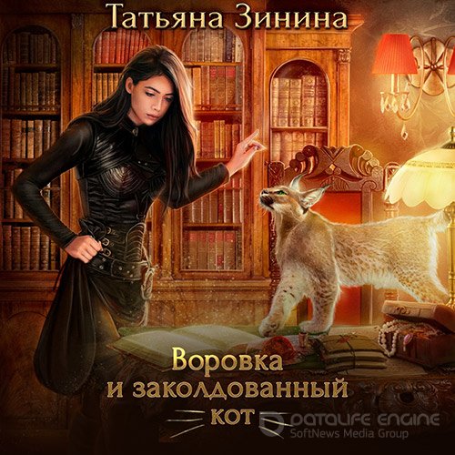 Зинина Татьяна. Воровка и заколдованный кот (Аудиокнига)