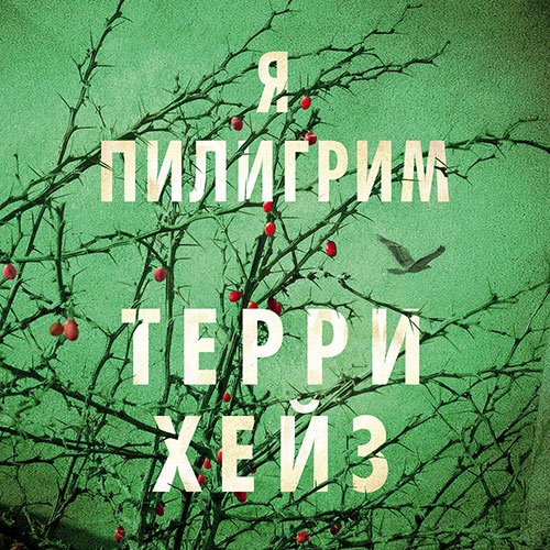 Хейз Терри. Я Пилигрим (Аудиокнига)