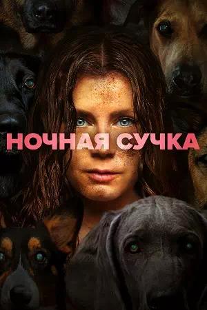 Ночная сучка